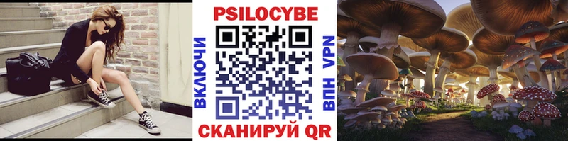 что такое   Шахунья  Галлюциногенные грибы Psilocybine cubensis 
